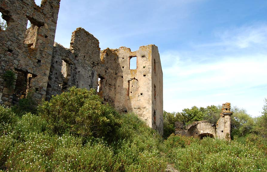 Coasina (Château Ruiné), France